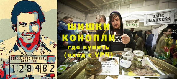 индика Алзамай