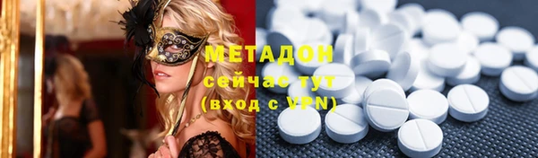 индика Алзамай