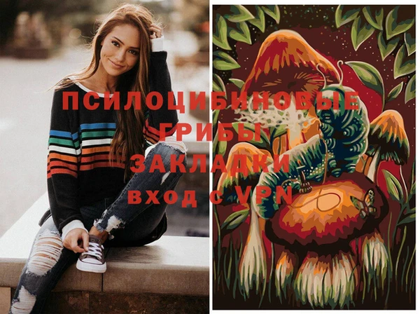 меф Алексин