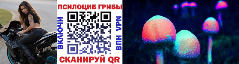 где купить наркоту Пустошка Псилоцибиновые грибы Magic Shrooms