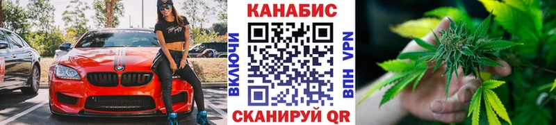 Канабис план купить закладку Пустошка